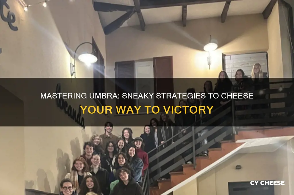 how to cheese umbra