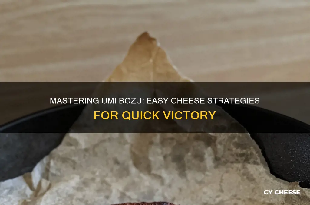 how to cheese umi bozu