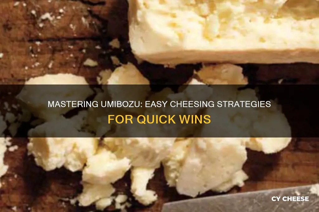 how to cheese umibozu