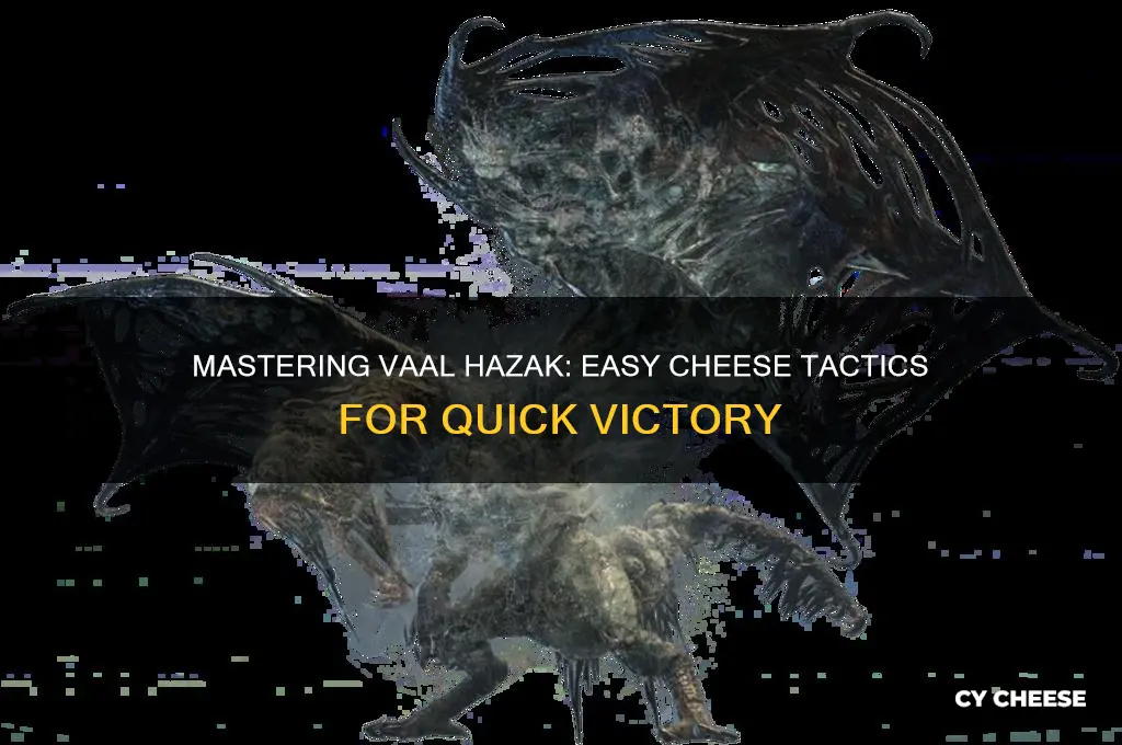 how to cheese vaal hazak