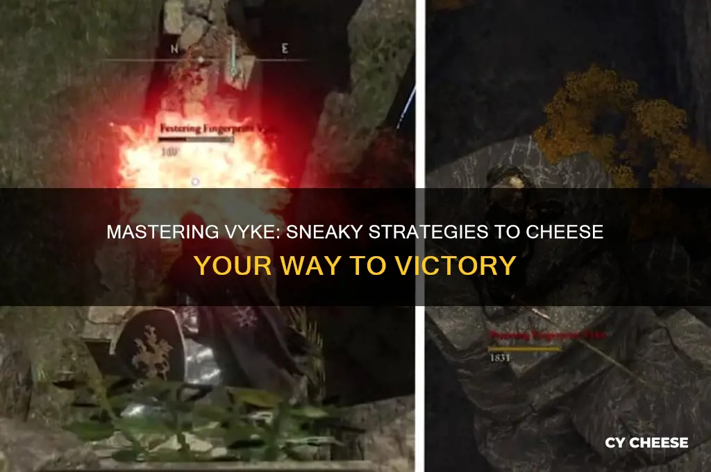 how to cheese vyke