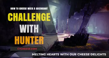 Hunter's Guide: Mastering Week 5 Ascendant Challenge with Ease