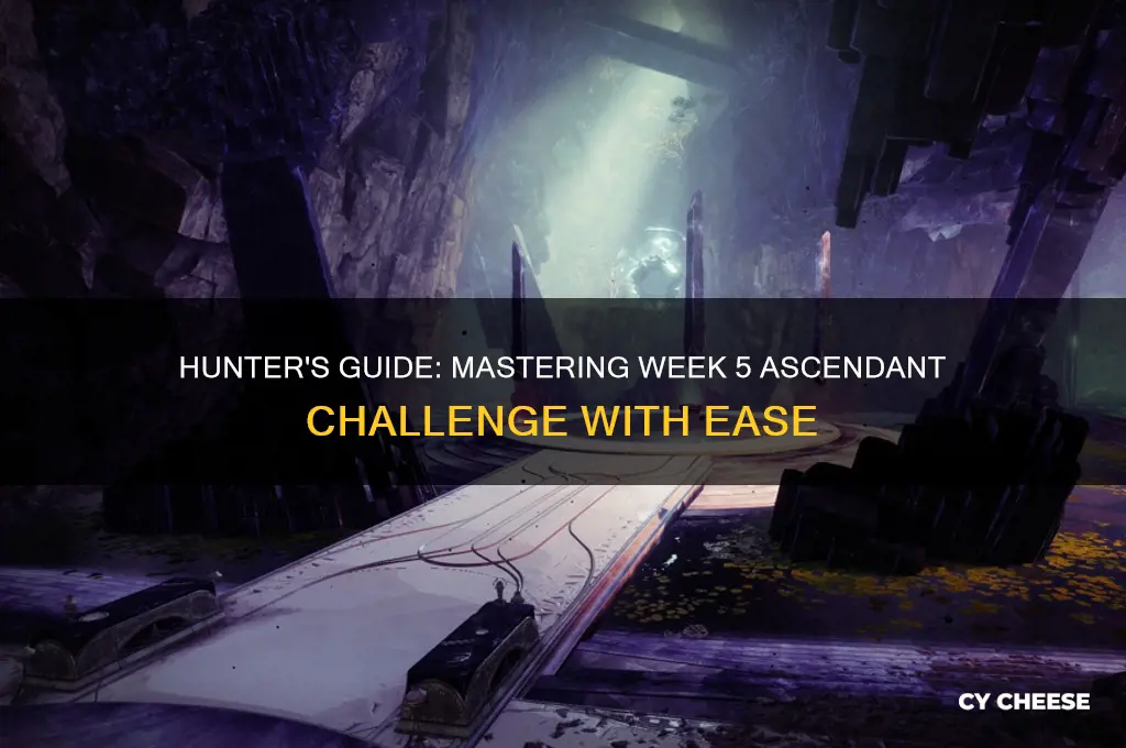 how to cheese week 5 ascendant challenge with hunter