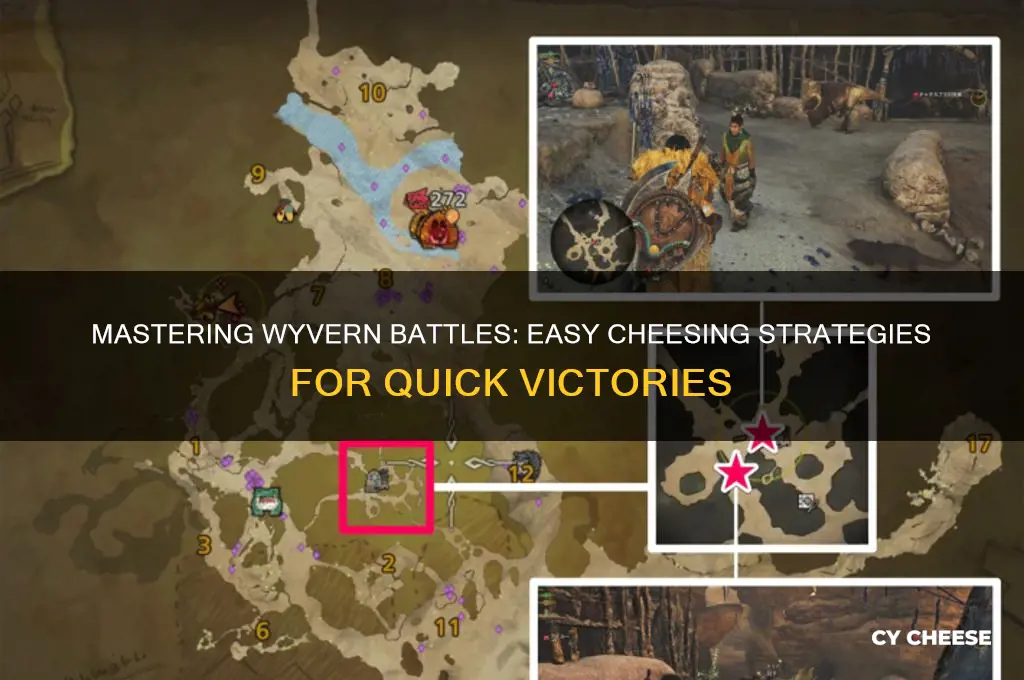 how to cheese wyvern