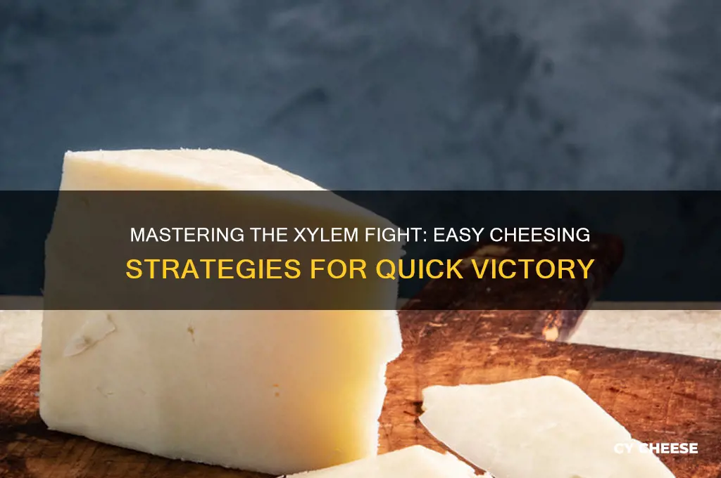 how to cheese xylem fight