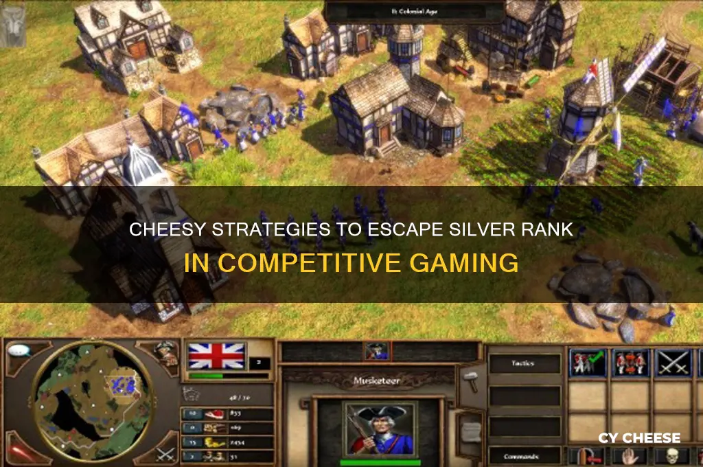 how to cheese your way out of silver