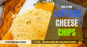 Crunchy Cheddar Delight: A Guide to Perfectly Baked Cheese Chips