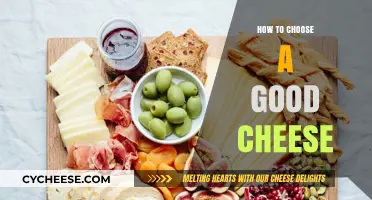 Cheese Selection: Choosing the Best Cheeses