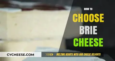 Mastering Brie Selection: Tips for Choosing the Perfect Creamy Cheese