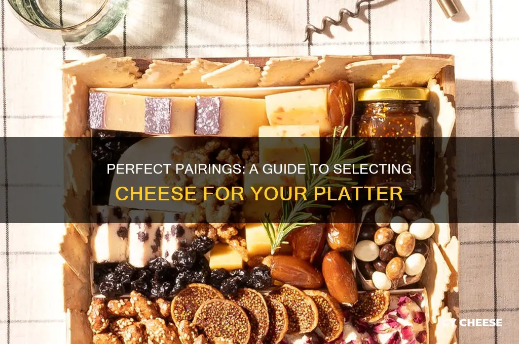 how to choose cheese for a cheese platter
