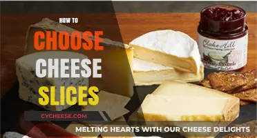 Perfect Cheese Slices: A Guide to Choosing the Best for You