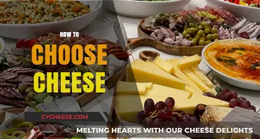 Mastering the Art of Cheese Selection: A Guide to Choosing Perfectly