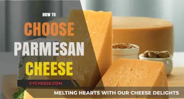 Parmesan Cheese: Choosing the Best for Your Dish