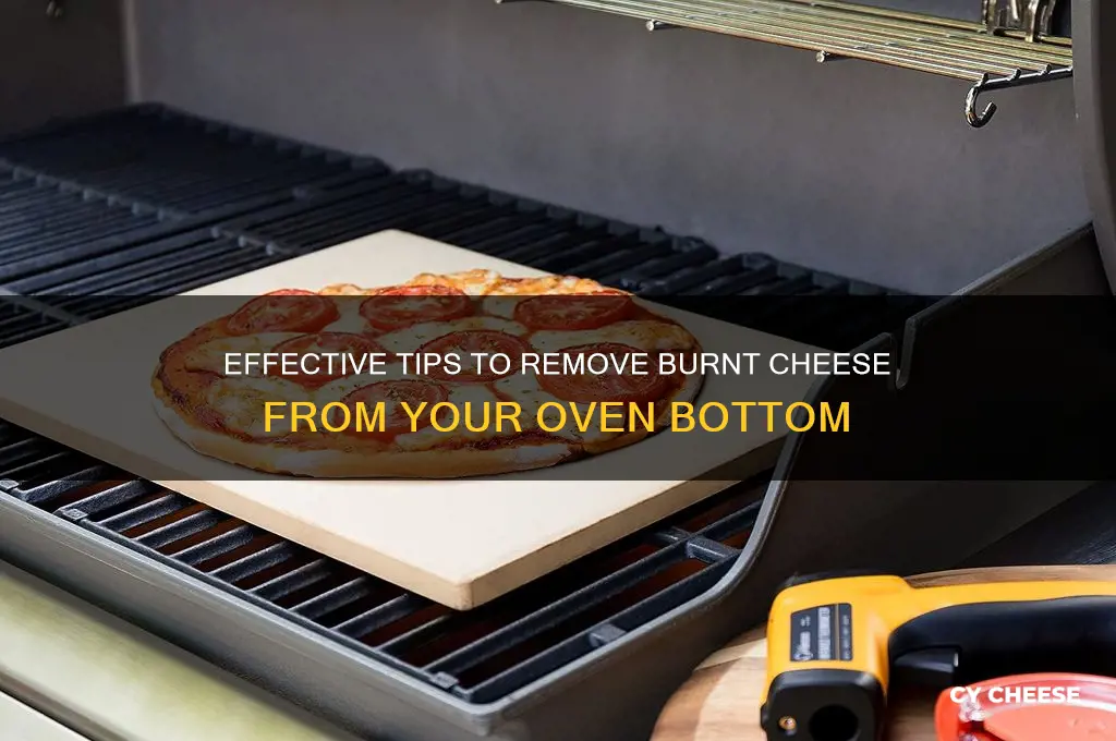 how to clean burnt cheese off bottom of oven