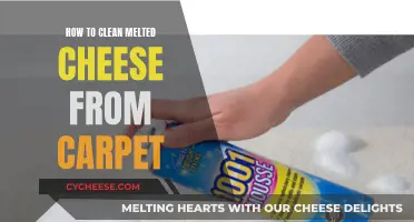 Effective Ways to Remove Melted Cheese from Your Carpet