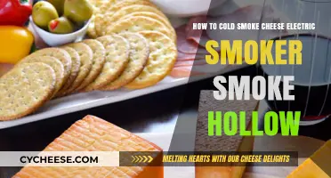 Master Cold Smoking Cheese with Your Smoke Hollow Electric Smoker