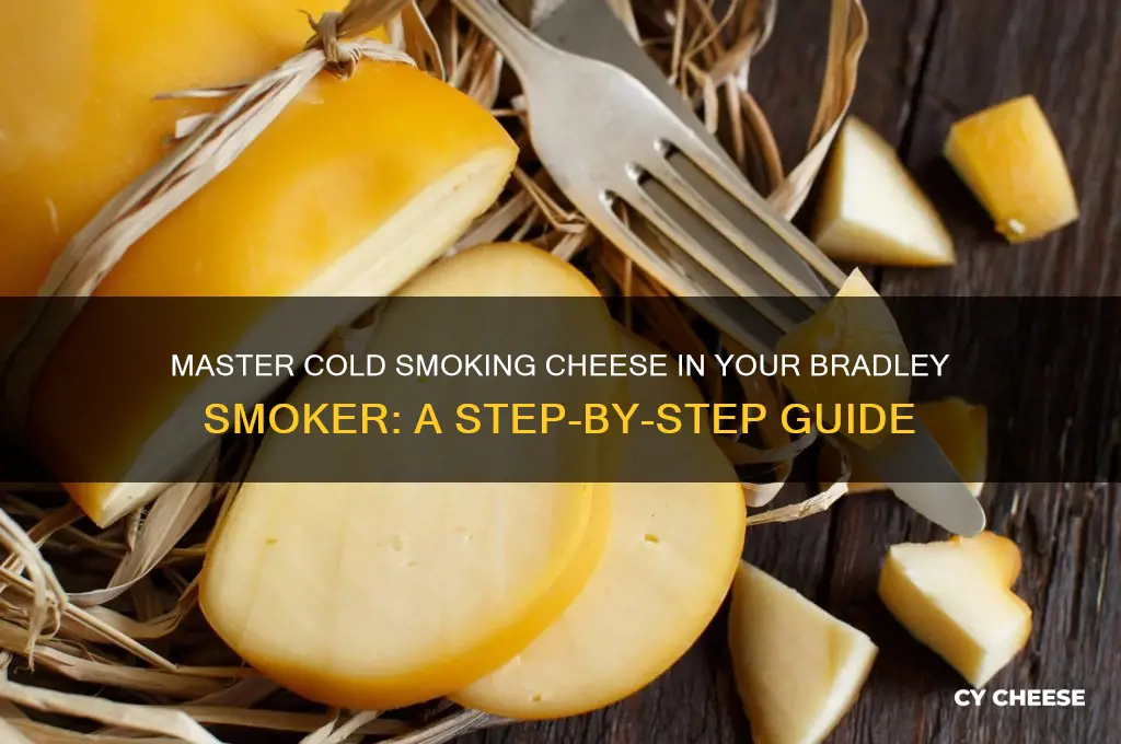 how to cold smoke cheese in a bradley smoker
