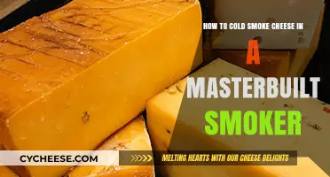 Masterbuilt Smoker Guide: Cold Smoking Cheese for Perfect Flavor