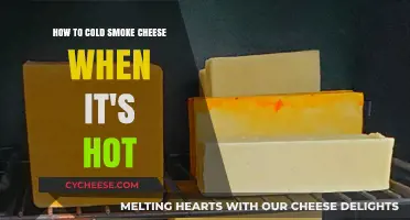 Master Cold Smoking Cheese in Hot Weather: Tips and Tricks