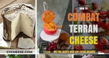 Mastering Anti-Cheese Strategies: Countering Terran Rushes Effectively in StarCraft