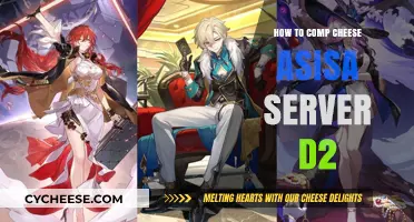 Cheese Asia Servers in Destiny 2: Comp Tips