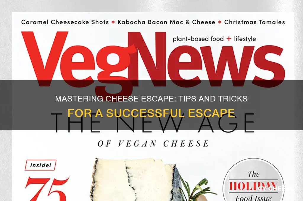 how to complete cheese escape