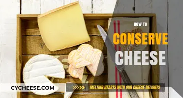 Mastering Cheese Conservation: Tips for Longer-Lasting, Fresher Cheese