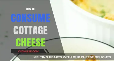 Delicious Ways to Enjoy Cottage Cheese: Creative and Healthy Ideas