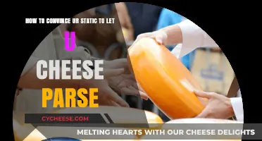 Mastering Persuasion: Convince Your Static to Let You Cheese Parse