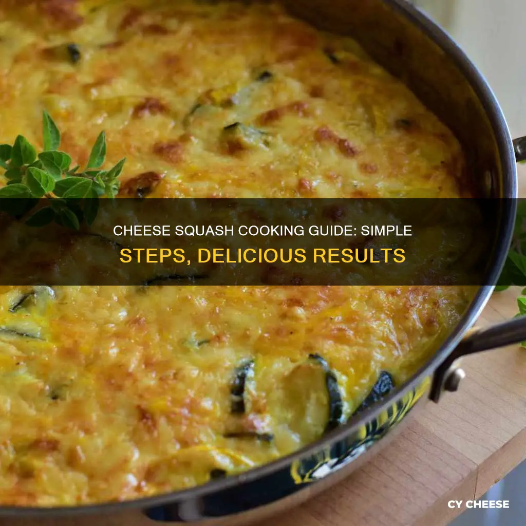 how to cook a cheese squash