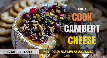 Camembert Cheese: Cooking Techniques and Tips