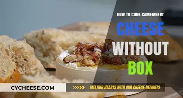Camembert Unboxed: Creative Ways to Cook This Cheese