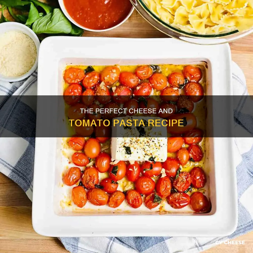 how to cook cheese and tomato pasta