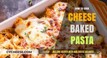 Cheese Baked Pasta: The Ultimate Comfort Food