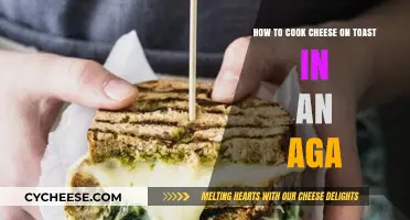 Creating the Ultimate Cheese on Toast in an AGA