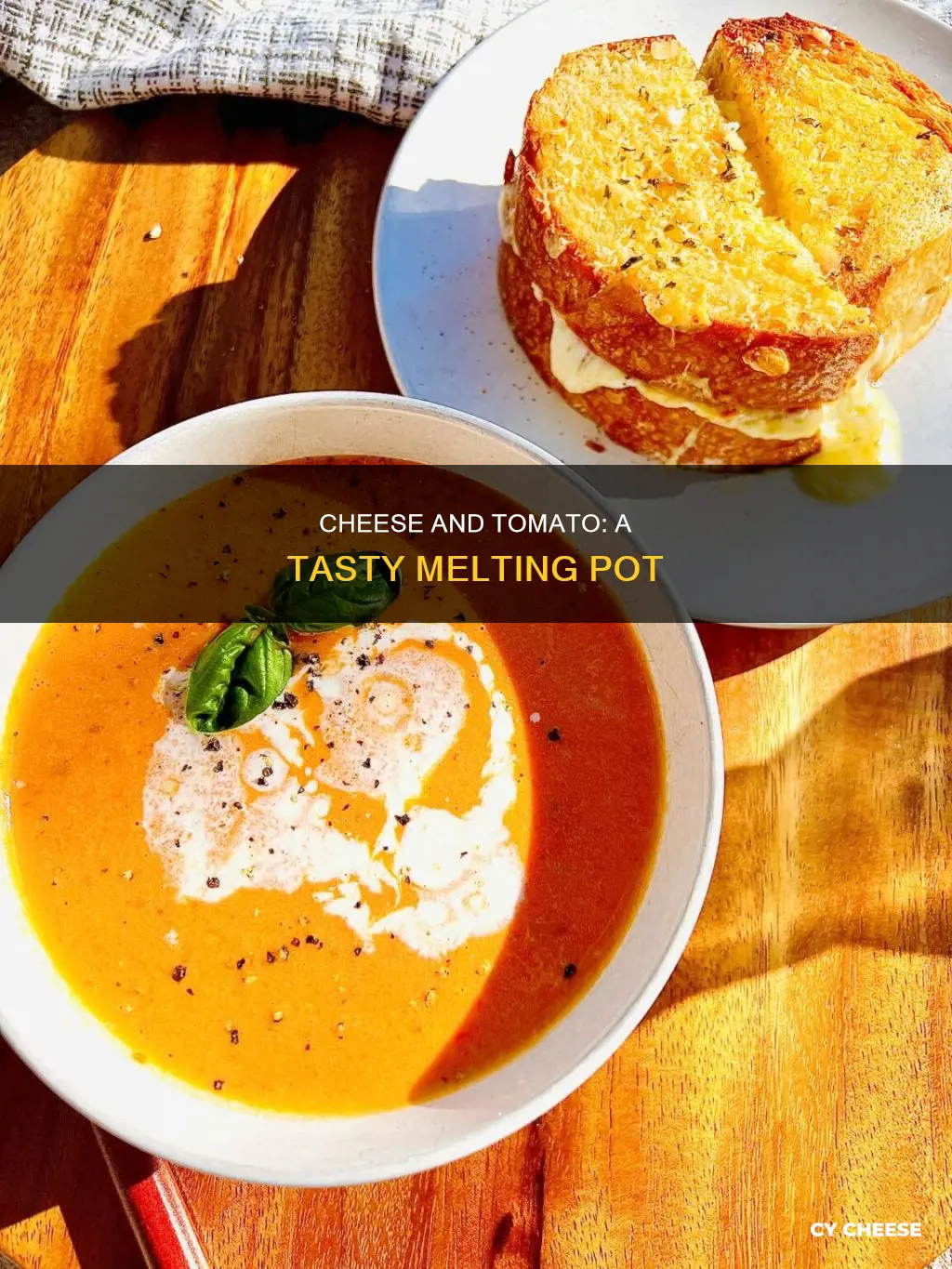 how to cook cheese tomato