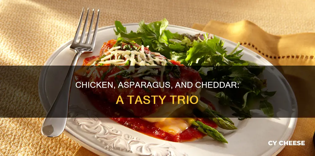 how to cook chicken breast with asparagus and cheddar cheese