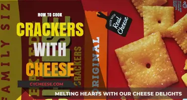 Creating Cheesy Crackers: A Step-by-Step Guide