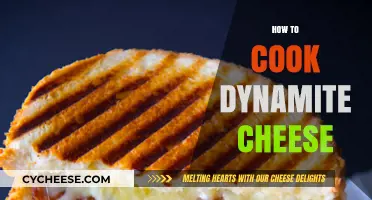 The Ultimate Guide to Cooking Dynamite Cheese