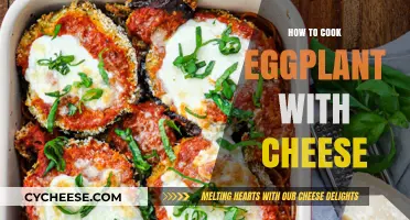 Cheesy Eggplant Delights: The Ultimate Comfort Food