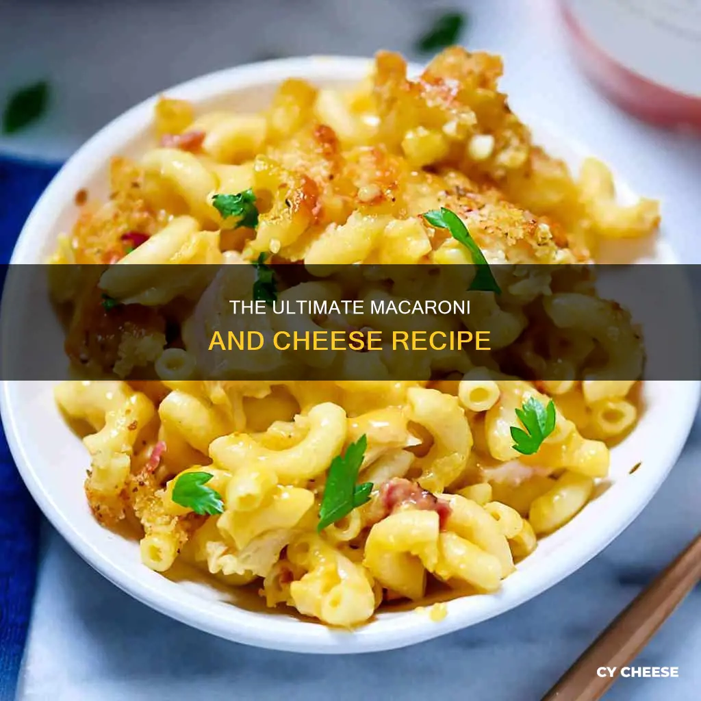 how to cook elbow macaroni with cheese