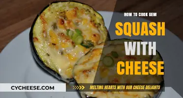 Gem Squash: Cheesy Comfort Food Delight