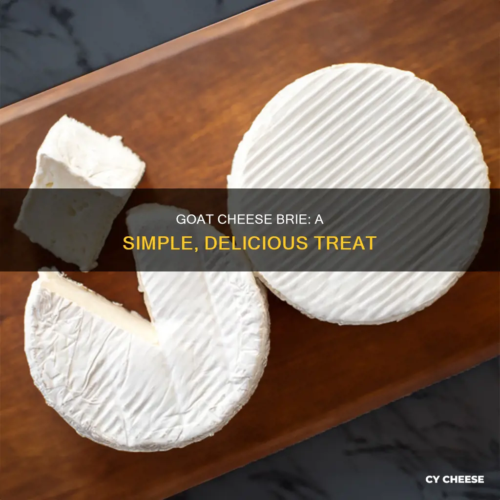 how to cook goat cheese brie