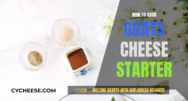 Delightful Goat Cheese Starter: Tips for a Perfect Appetizer