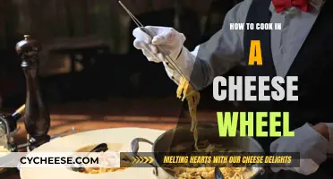 Cooking in a Cheese Wheel: A Tasty Adventure