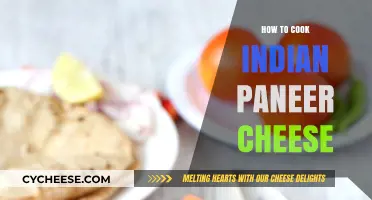 The Ultimate Guide to Cooking Indian Paneer Cheese