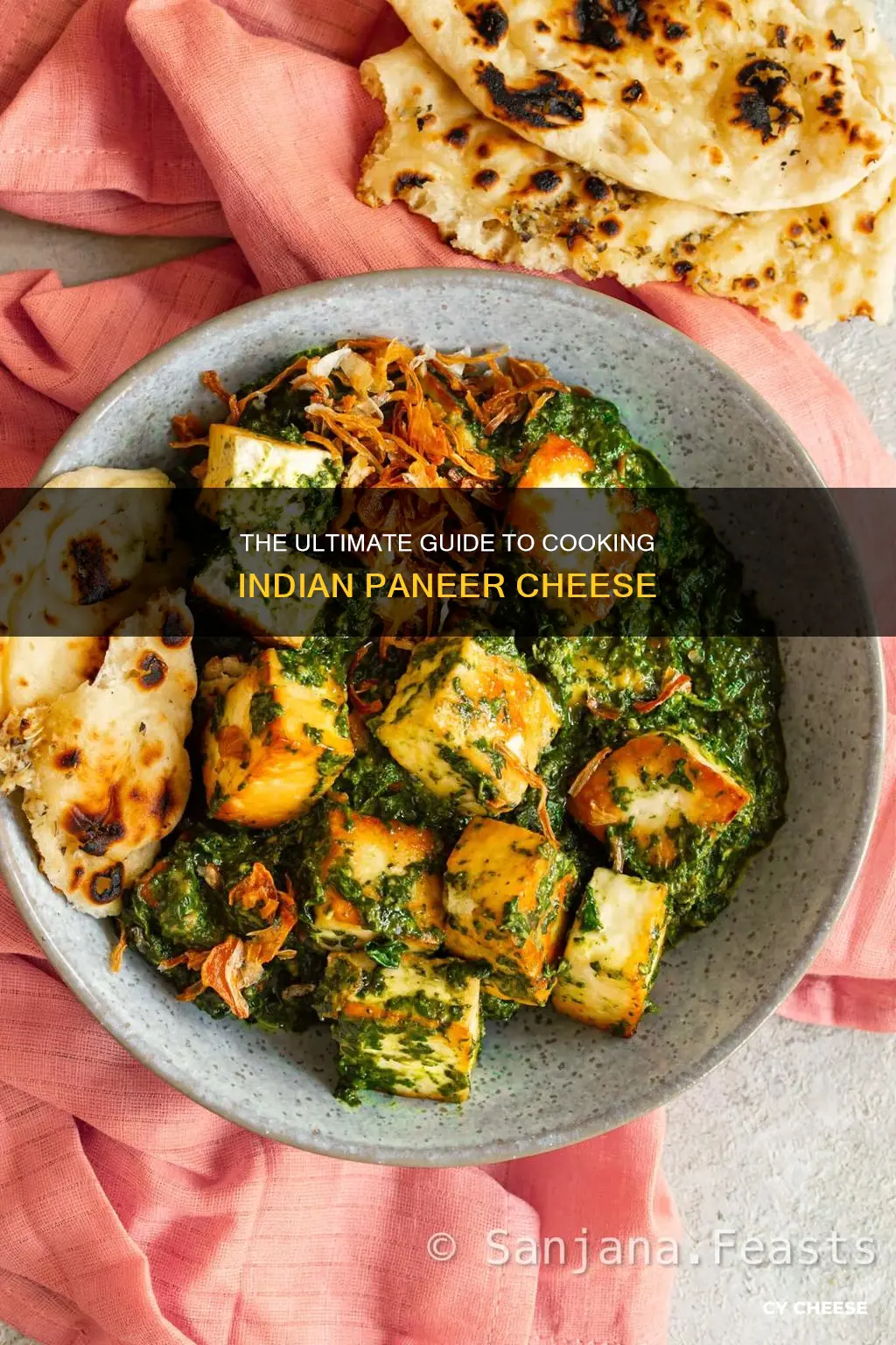 how to cook indian paneer cheese