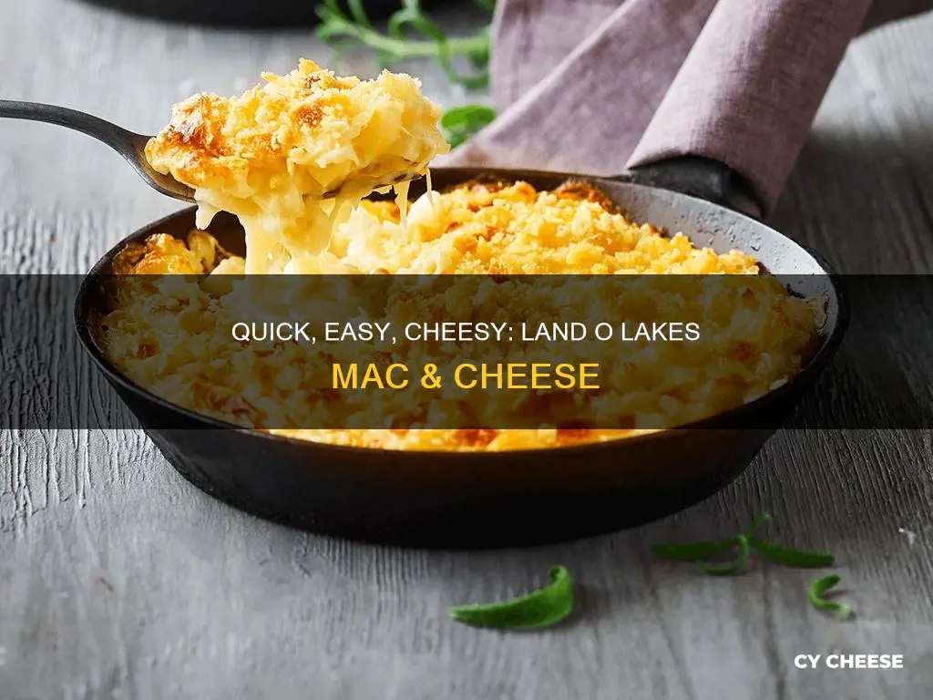 how to cook land o lakes frozen macaroni and cheese