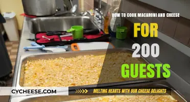Mac and Cheese Extravaganza: Cooking for a Crowd