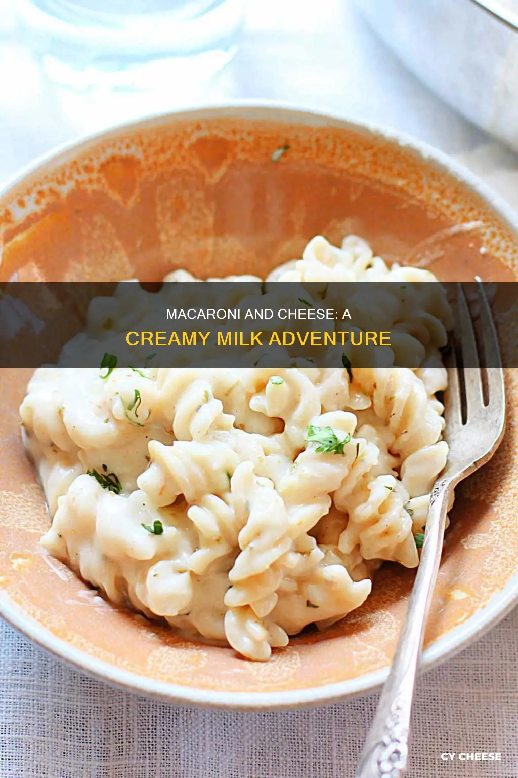 how to cook macaroni and cheese with milk